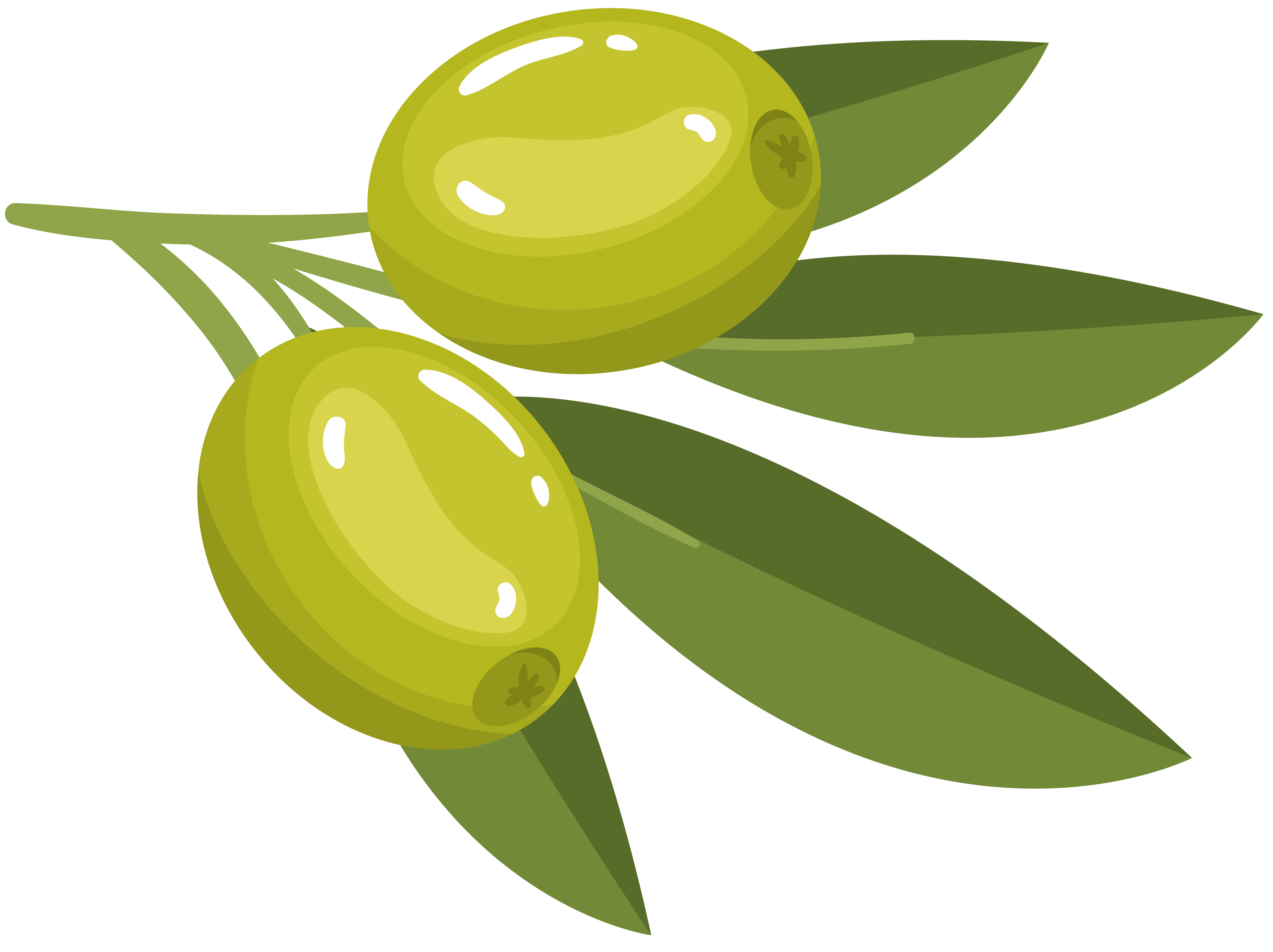 JD Martínez Agrícola